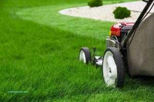 affordable lawn mowing Adelaide