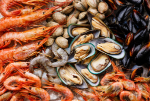 ShoreMarinerNZ frozen seafood